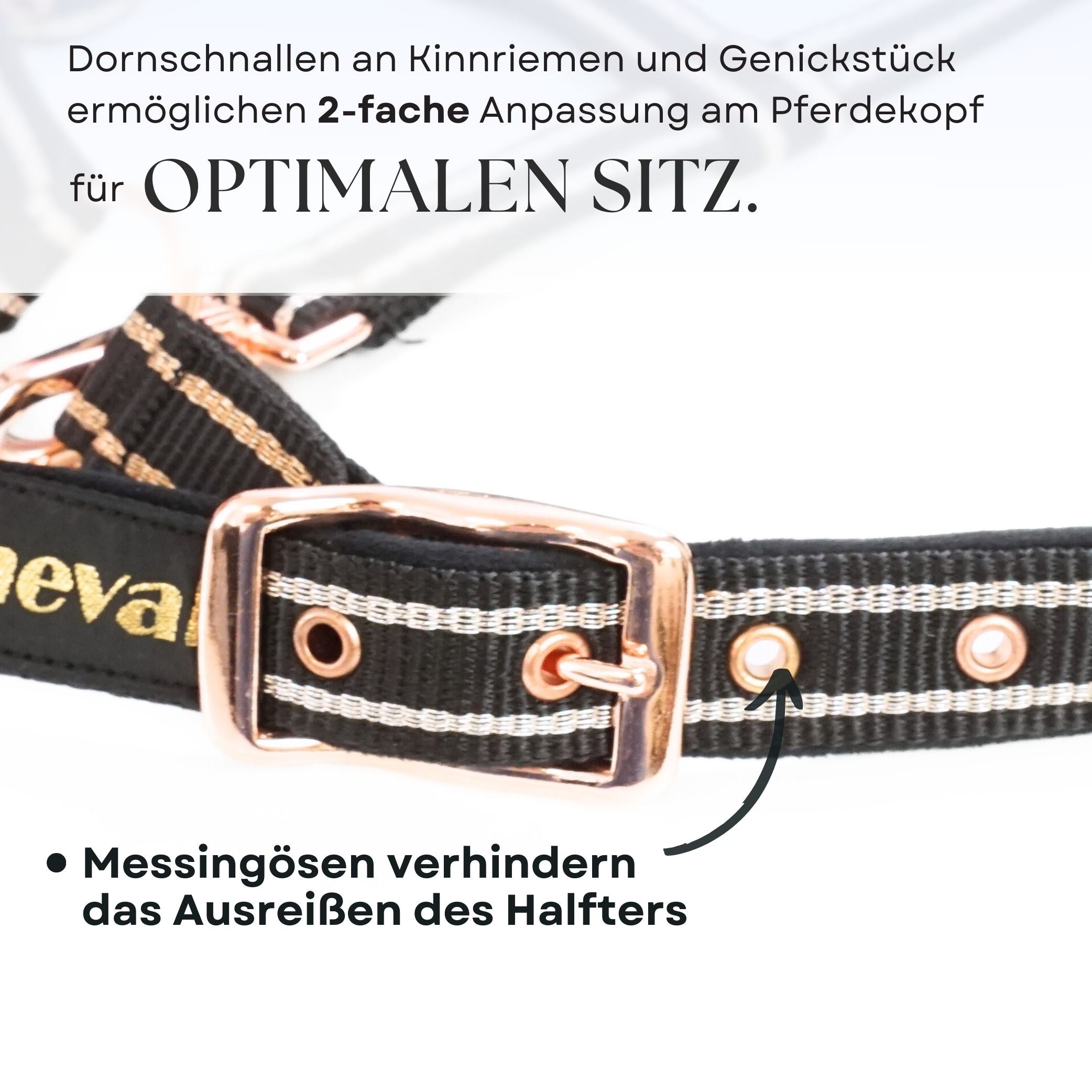 Halfter für Pferde mit Glitzer in rosegold